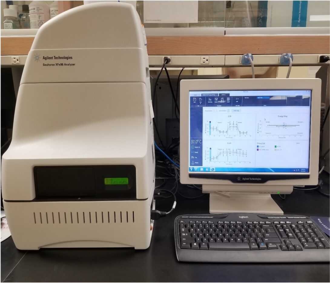 Seahorse xFe96 Analyzer